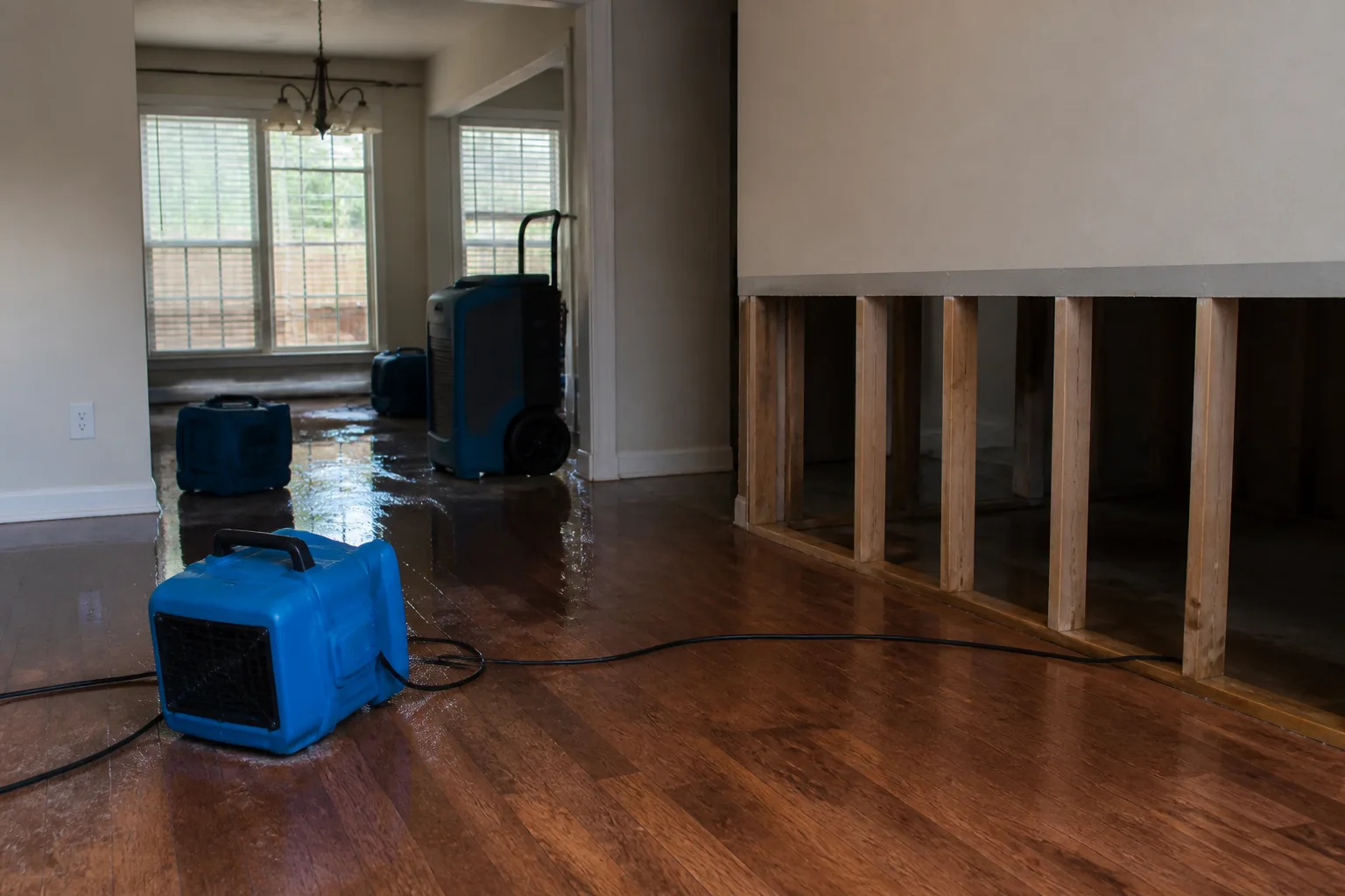 Dri-Eaz Water Damage Restoration in Jamaica: A Homeowner’s Guide